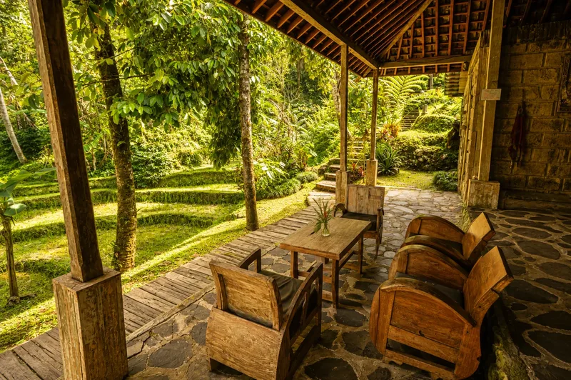 Greenery seen from the 2-Bedroom Villa terrace