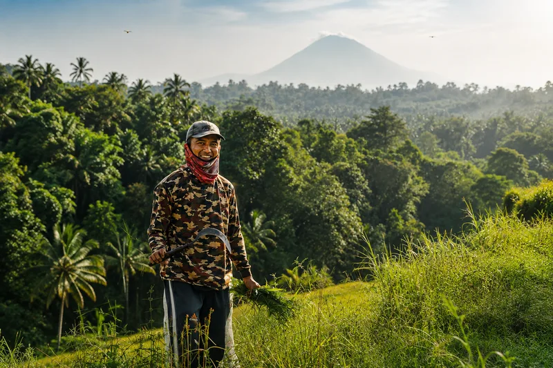 Jungle trekking around Mount Batukaru in Bali