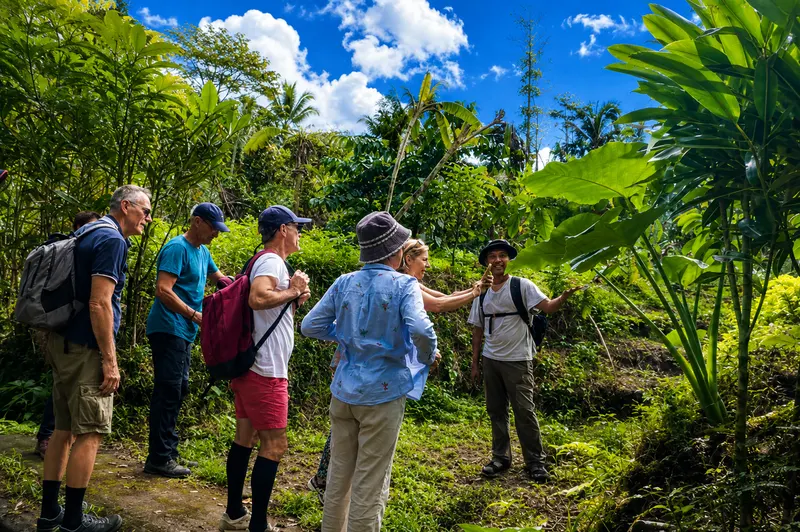Guided jungle trekking near Oemah Tepi Sawah in Bali