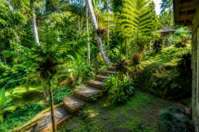 Path through the tropical garden at Oemah Tepi Sawah